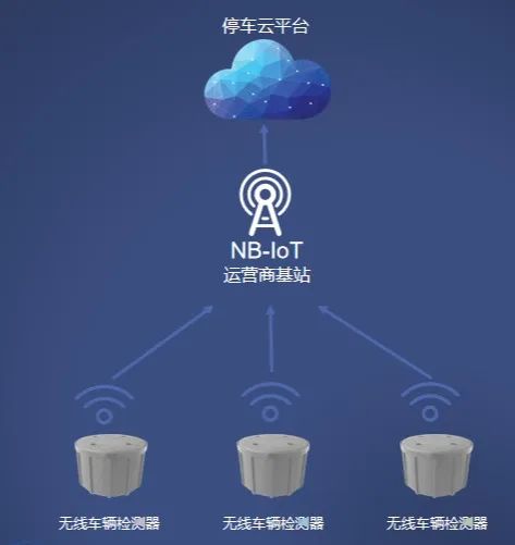 1709192236694724.jpg 111544561985.jpg